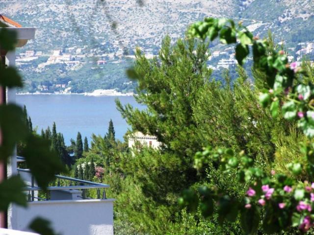 Villa Kipre 2 Cavtat Dış mekan fotoğraf