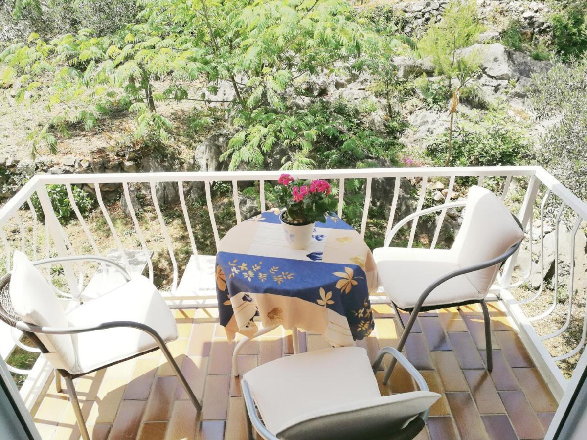 Villa Kipre 2 Cavtat Dış mekan fotoğraf